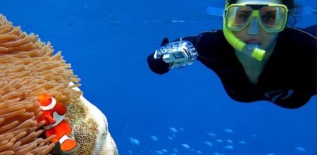 snorkling-barrier-reef snorkling-barrier-reef