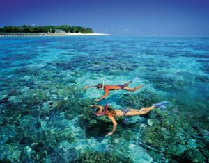 ideal location non swimmers AllCairnsTours
