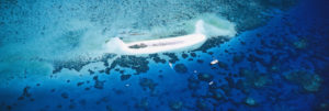 AllCairnsTours.com.au