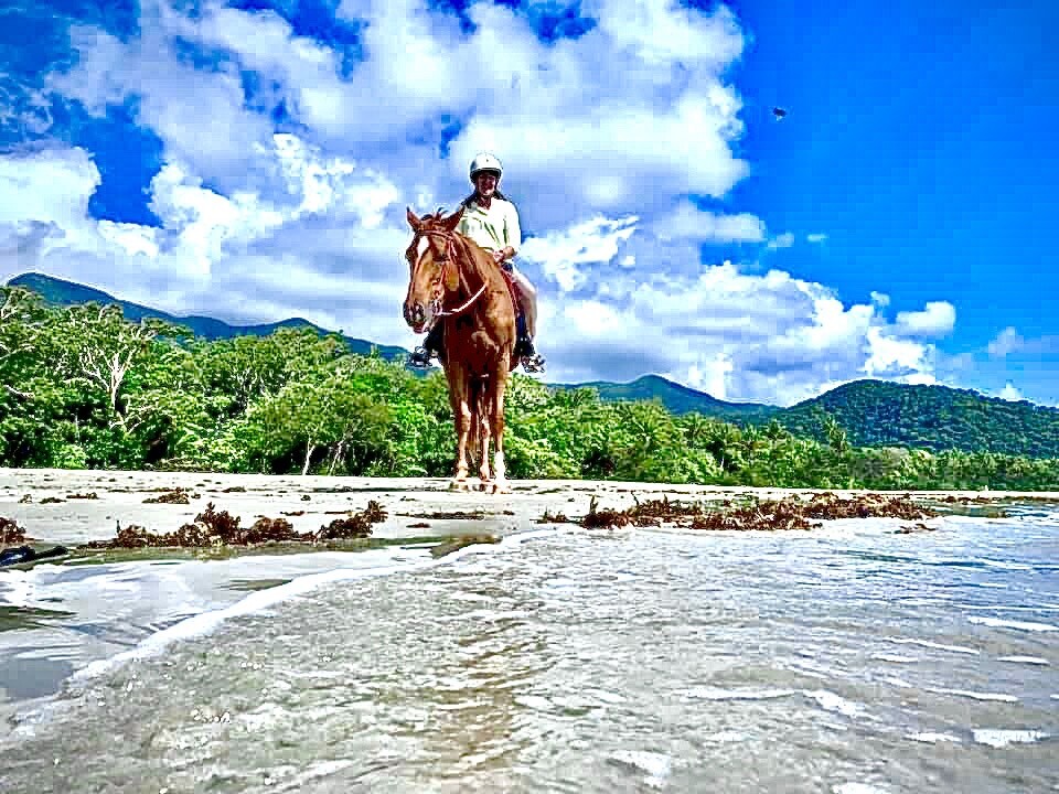 horse tours cairns